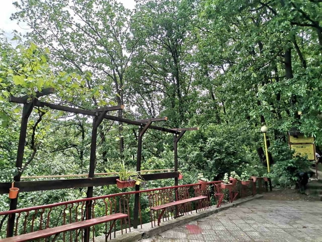 Релакс сред природата на хижа Божурица - city of Vidin | Rural Travel - снимка 2