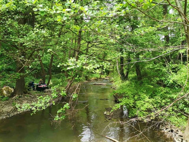 Релакс сред природата на хижа Божурица - city of Vidin | Rural Travel - снимка 7