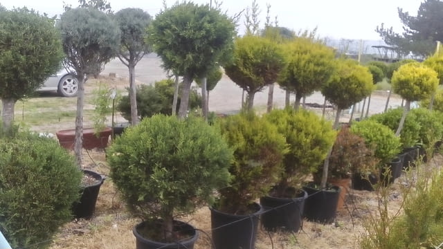 Поставям автоматезирани поливни системи озеленяваане, city of Sliven | Irrigation Systems - снимка 2