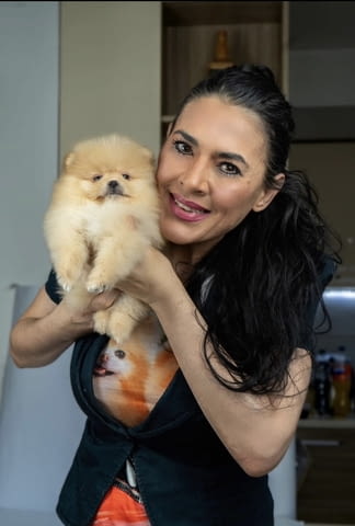 Pomeranian puppies-top litter 2 Months - city of Izvun Bulgaria | Dogs - снимка 3