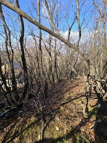 Парцел в село Гълъбово без сменен статут 513 м2, За жил.строителство - село Гълъбово | Парцели / Земя - снимка 2