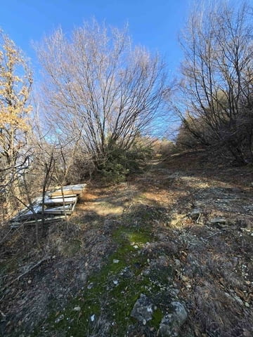 Парцел в село Гълъбово без сменен статут 513 м2, За жил.строителство - село Гълъбово | Парцели / Земя - снимка 5