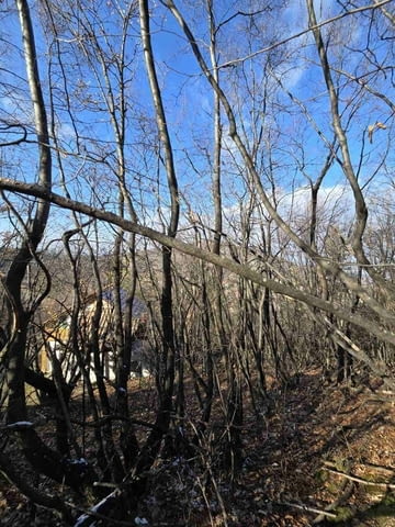 Парцел в село Гълъбово без сменен статут 513 м2, За жил.строителство - село Гълъбово | Парцели / Земя - снимка 6