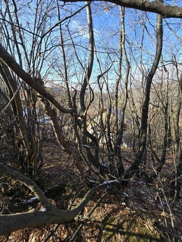 Парцел в село Гълъбово без сменен статут 513 м2, За жил.строителство - село Гълъбово | Парцели / Земя - снимка 7