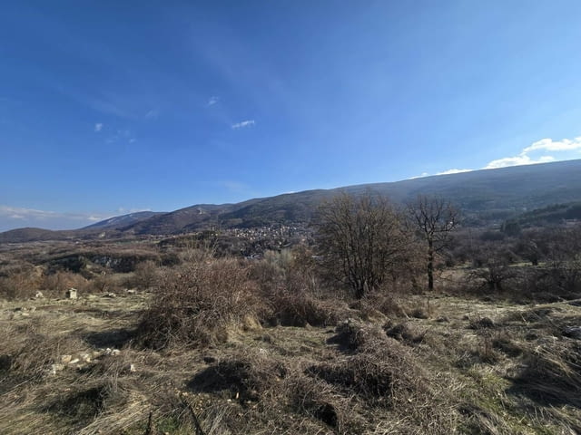 Парцел в Стопанския двор в село Гълъбово 1934 м2, За жил.строителство, За пром.строителство - село Гълъбово | Парцели / Земя - снимка 3