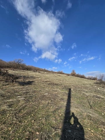 Парцел в Стопанския двор в село Гълъбово 1934 м2, За жил.строителство, За пром.строителство - село Гълъбово | Парцели / Земя - снимка 4