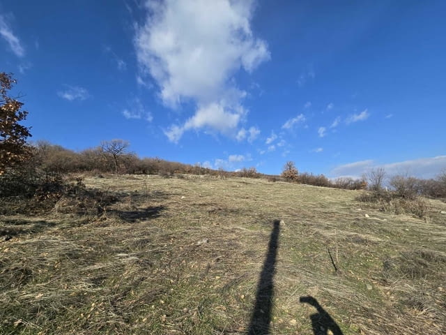 Парцел в Стопанския двор в село Гълъбово 1934 м2, За жил.строителство, За пром.строителство - село Гълъбово | Парцели / Земя - снимка 5