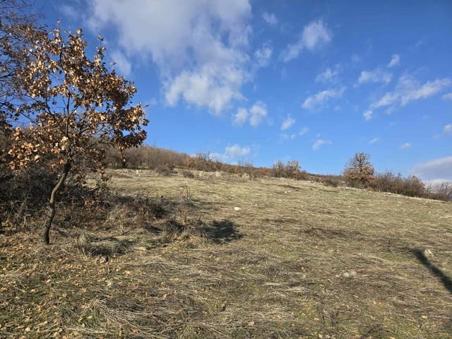 Парцел в Стопанския двор в село Гълъбово 1934 м2, За жил.строителство, За пром.строителство - село Гълъбово | Парцели / Земя - снимка 7