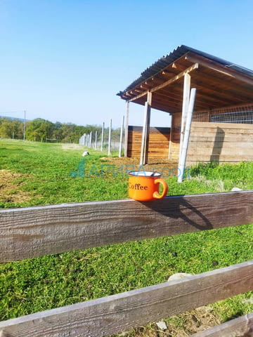 Животновъдно стопанство/овчарник-ферма/ в община Хасково, city of Haskovo - снимка 4