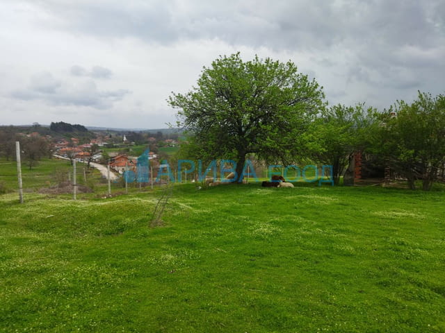 Животновъдно стопанство/овчарник-ферма/ в община Хасково, city of Haskovo - снимка 6