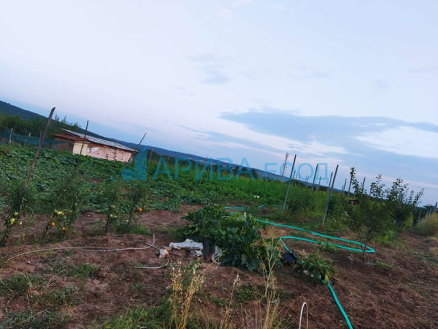 Животновъдно стопанство/овчарник-ферма/ в община Хасково, city of Haskovo - снимка 7