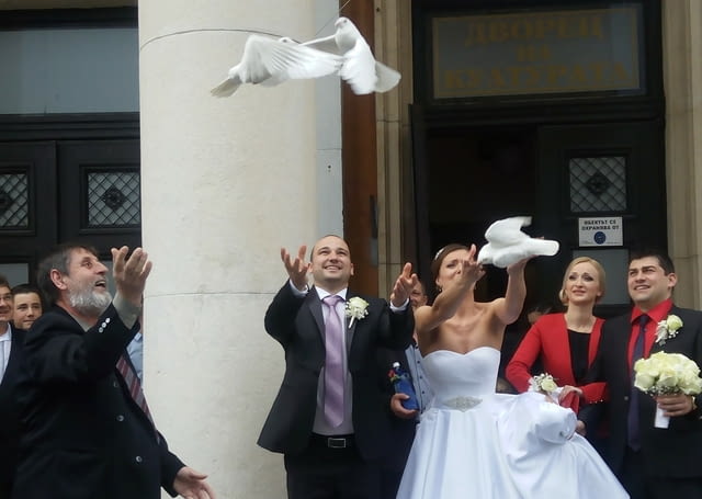 Бели гълъби за вашата сватба и бал! - city of Pernik | Weddings - снимка 3
