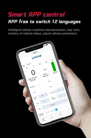 Електрически скутер/тротинетка със седалка BOYUEDA 3200W 28AH - снимка 6