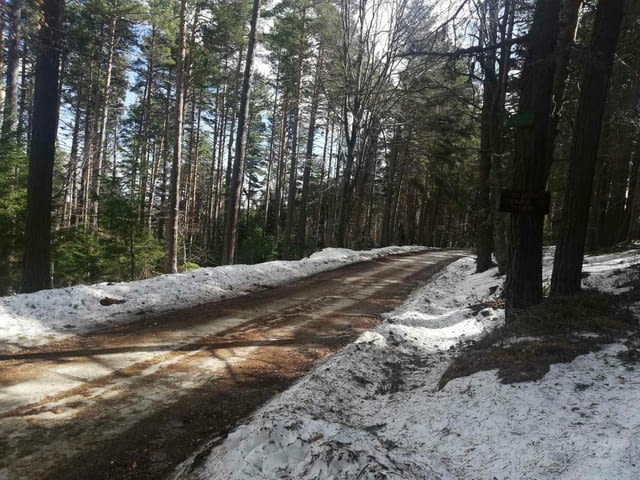 Парцел хижа Здравец до хижа Металик 100метра лице 5600 m2 - village Galabovo | Land - снимка 5