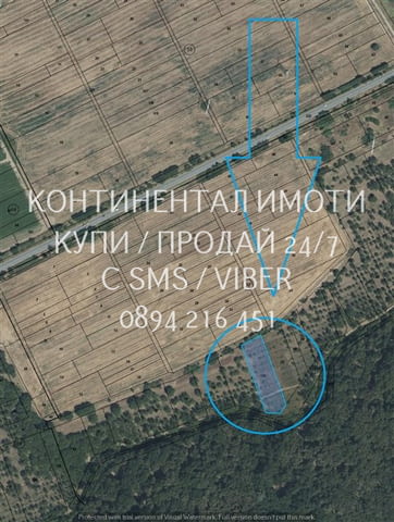 КОД. 32789. Стара градина 3200м2 орехи градина на около 40 г, градината е част от по-голям орехов м - снимка 2