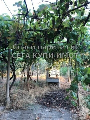 Кодг 61604. Двуетажна тухлена къща 200м2 с двор 900м2 със стопански сгради овошки и асмалъци Къщата - снимка 11