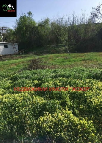 Дворно място /парцел/ в село Джулюница 1157 m2, For living - village Djuliunica | Land - снимка 1