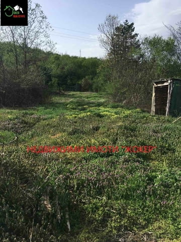 Дворно място /парцел/ в село Джулюница 1157 m2, For living - village Djuliunica | Land - снимка 3