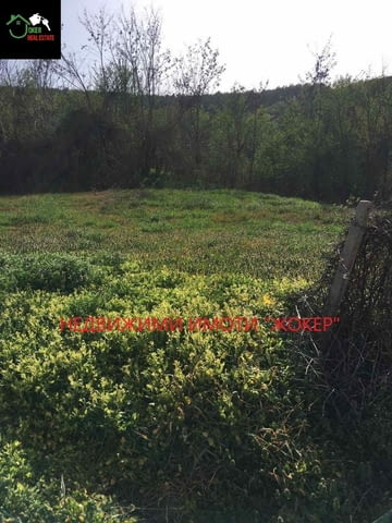 Дворно място /парцел/ в село Джулюница 1157 m2, For living - village Djuliunica | Land - снимка 4