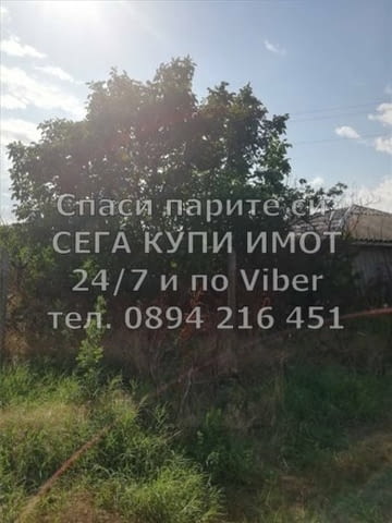 КОДг 17195. Парцел 2150м2, с ток и вода, който е подходящ за жилищна застрояване. Върху парцела има - снимка 2