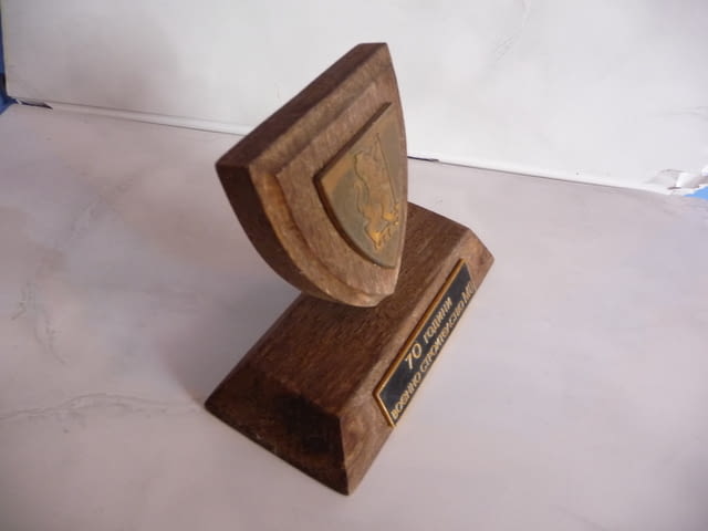 70 години Военно строителство МО настолен плакет военен строителни войски - снимка 2