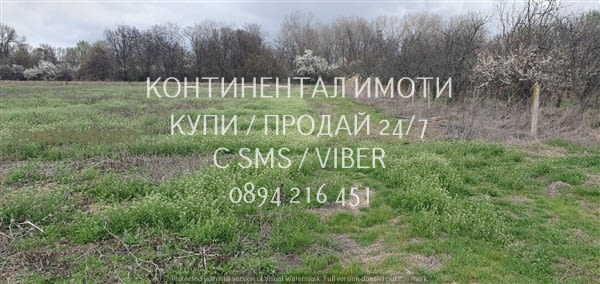 Код 62987. Три ниви с обща площ 5дка. /3500м2 градина със стари овошки на 500м от селото и на 300м о - снимка 8