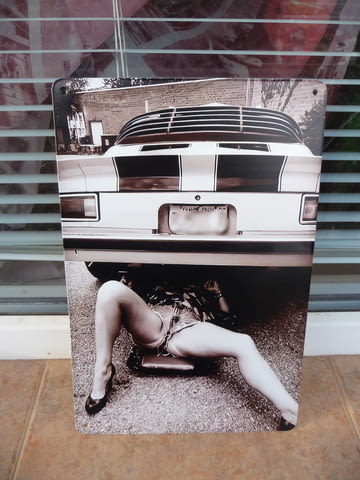 Метална табела Мацка с изрязани дънки токчета ремонтира кола еротика - снимка 1