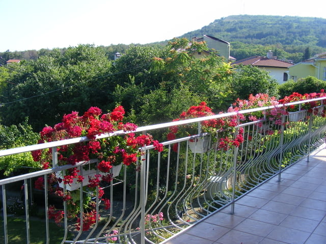 Вила Бадема Балчик, Къща под наем, Басейн, Детска площадка, Интернет, Климатик, Паркинг, Кабелна телевизия - град Балчик | Почивка на Море - снимка 12