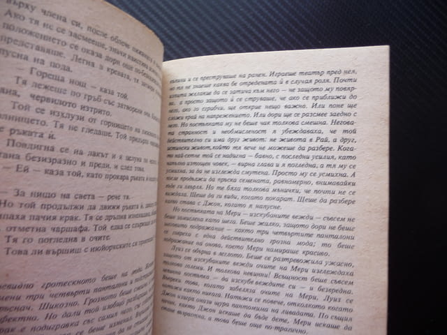 По инерция Ан Бийти книга за 20 стотинки роман художествен образ - снимка 2