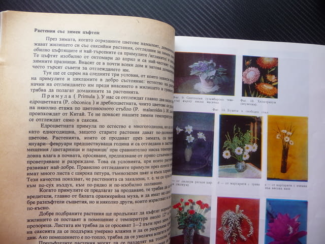 Книга за всеки ден и всеки дом Домакинска енциклопедия хране спорт деца къща интериор обзавеждане - снимка 2