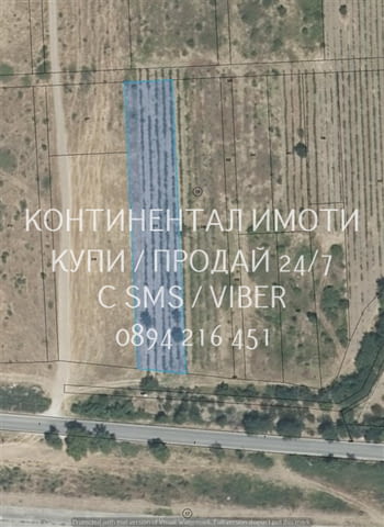 Код 62932. Гледано лозе 2200м2 десертно Супер ран болгар в отлично състояние. Лозето се намира на ме - снимка 1