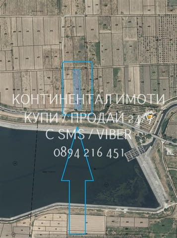 Код 62932. Гледано лозе 2200м2 десертно Супер ран болгар в отлично състояние. Лозето се намира на ме - снимка 2