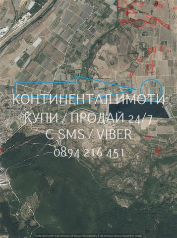 Код 62932. Гледано лозе 2200м2 десертно Супер ран болгар в отлично състояние. Лозето се намира на ме - снимка 6