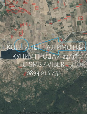 Код 62932. Гледано лозе 2200м2 десертно Супер ран болгар в отлично състояние. Лозето се намира на ме - снимка 7